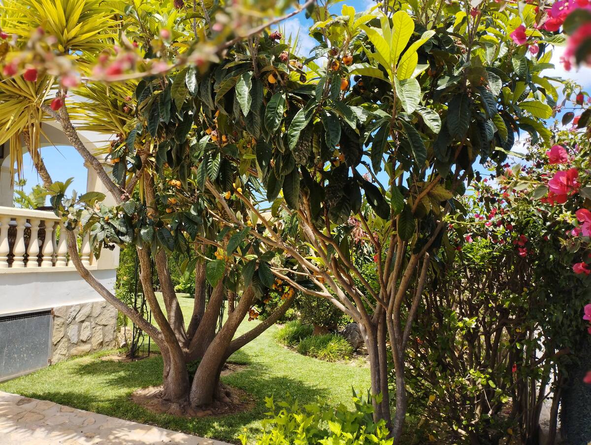 e7a3b255-0ce1-4017-ae6e-20e8461b429a